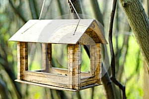 Bird and squirrel feeder house hanging on tree in city park on blurred natural background