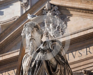 Bird on St Paolo statue's head