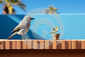 a bird standing on a ledge next to a potted plant