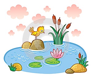 The bird is standing on a rock in a pond.