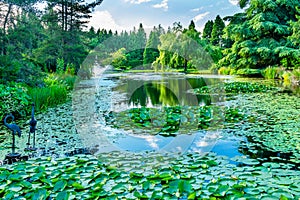 Bird Statues Lily Pads Van Dusen Garden Vancouver British Columbia Canada photo