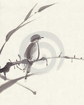 Bird sumi-e ink painting