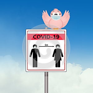 Bird with surgical mask and the Covid-19 rules cartel photo