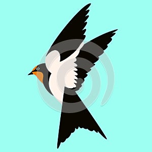 Bird swallow vector illustration flat style