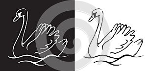Bird Swan on a black and white background