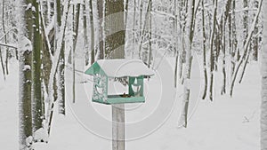 Bird titmouse on a branch in winter forest during a snowfall