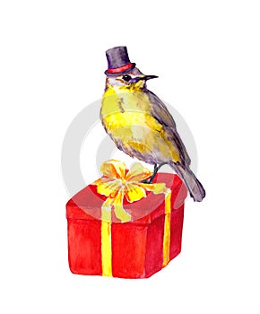 Bird in top hat on red present box. Watercolor