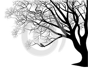 Vták na strom vetva 