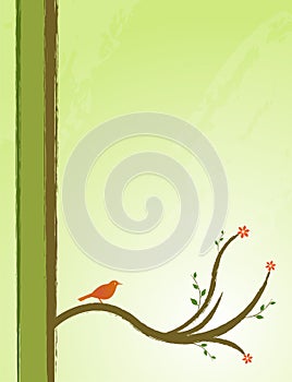Bird in a tree illustration