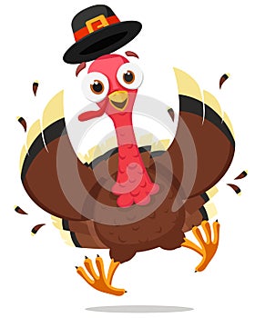 Bird turkey runs and flaps its wings. Thanksgiving Day