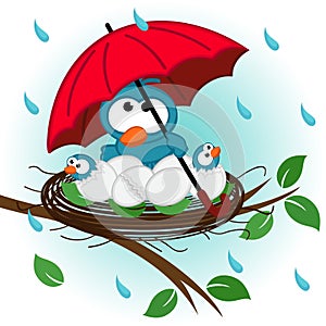 Bird under umbrella in nest