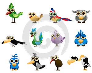 Bird vector photo