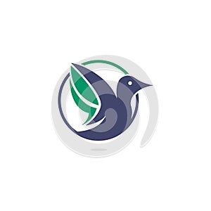 Creative bird vector logo design template.
