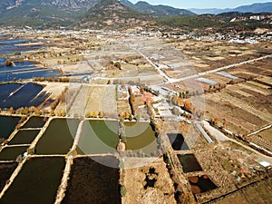 Bird View Fields in Golden Autumn