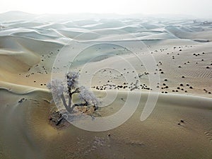 Bird view of Taklamakan Desert in winter