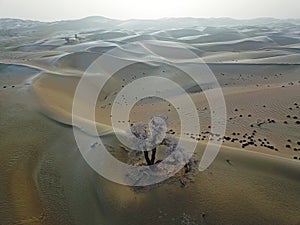 Bird view of Taklamakan Desert in winter