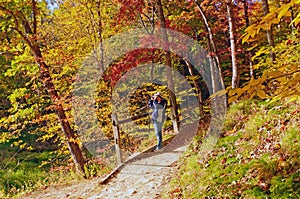 Bird watcher on a fall forest quest