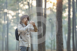 Bird watcher is looking through binoculars while exploring in the pine forest for surveying and discovering the rare biological