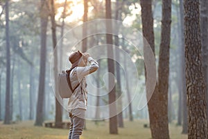 Bird watcher is looking through binoculars while exploring in the pine forest for surveying and discovering the rare biological