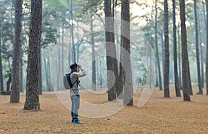 Bird watcher is looking through binoculars while exploring in the pine forest for surveying and discovering the rare biological