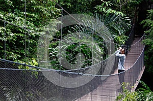 Bird watching on forest canopy bridge