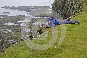 Bird watching in Iceland