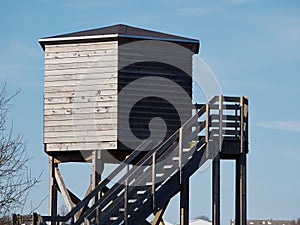 Bird watching tower