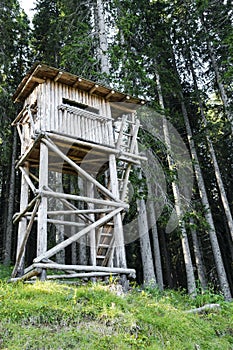 Bird watching tower in the forest