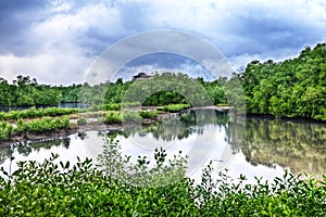 Bird Watching Tower, Sungei Buloh Singapore