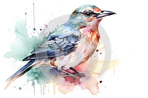 bird watercolor on white background spring illustration Watercolor-style Nature print for design