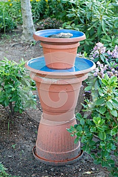 Bird waterer in a garden