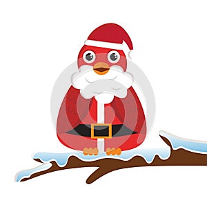 Bird wearing Santa costume