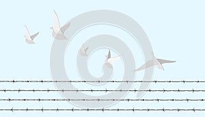 Bird White and freedom concept with barbed wire fence and abstract illustrations on a blue background