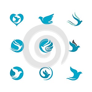 Bird wing Dove icon Template