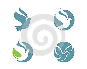 Bird Dove Logo Template