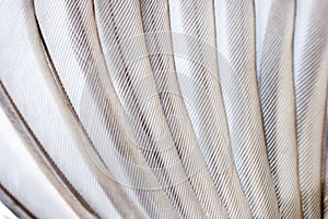 Bird wing texture