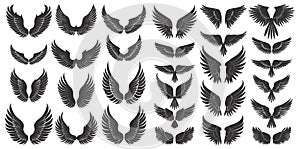 Bird wings black silhouettes. Different shapes plumage wing drawings isolated, winged graphics on white