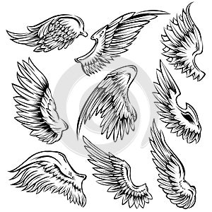 Bird Wings Black White Set