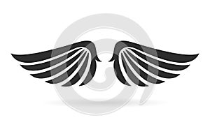 Bird wings vector icon