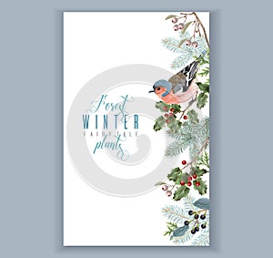 Bird winter border