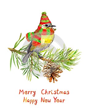 Bird in winter hat and scarf on christmas tree. Watercolor