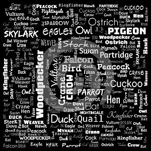 bird word cloud. word cloud use for banner, painting, motivation, web-page, website background, t-shirt & shirt printing, poster,