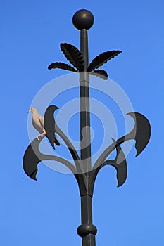 Bird on wrought iron ornament