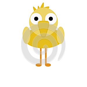 Bird Yellow Chick Cute Animal Cartoon Character For Kids