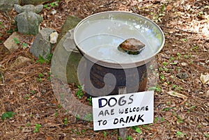 Birdbath with humorous sign