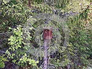 A birdbox in the forest