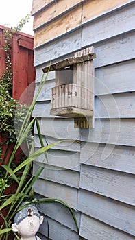 Birdboxes are the best way to attract wildlife to your urban garden photo