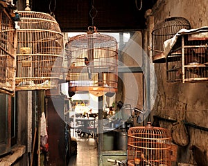 Birdcage or Bird Cage