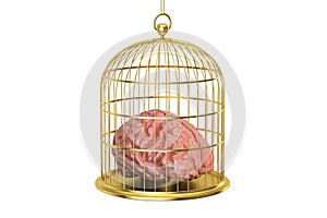 Birdcage with a brain inside, 3D rendering