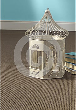 Birdcage on Carpet